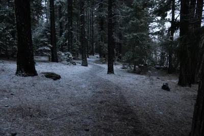 DSC_5828 (Large).JPG